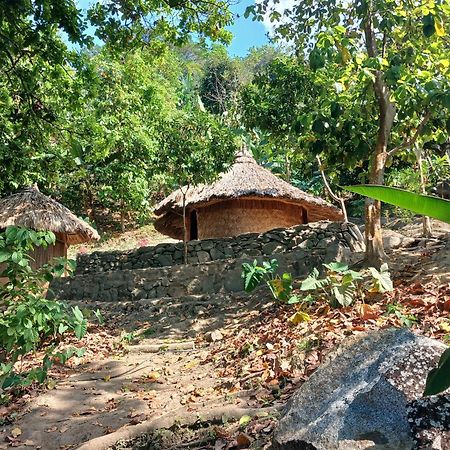 Hebergement Prive Dans La Jungle Avec Cascade Et Vue Mer! Villa Minca Exterior foto