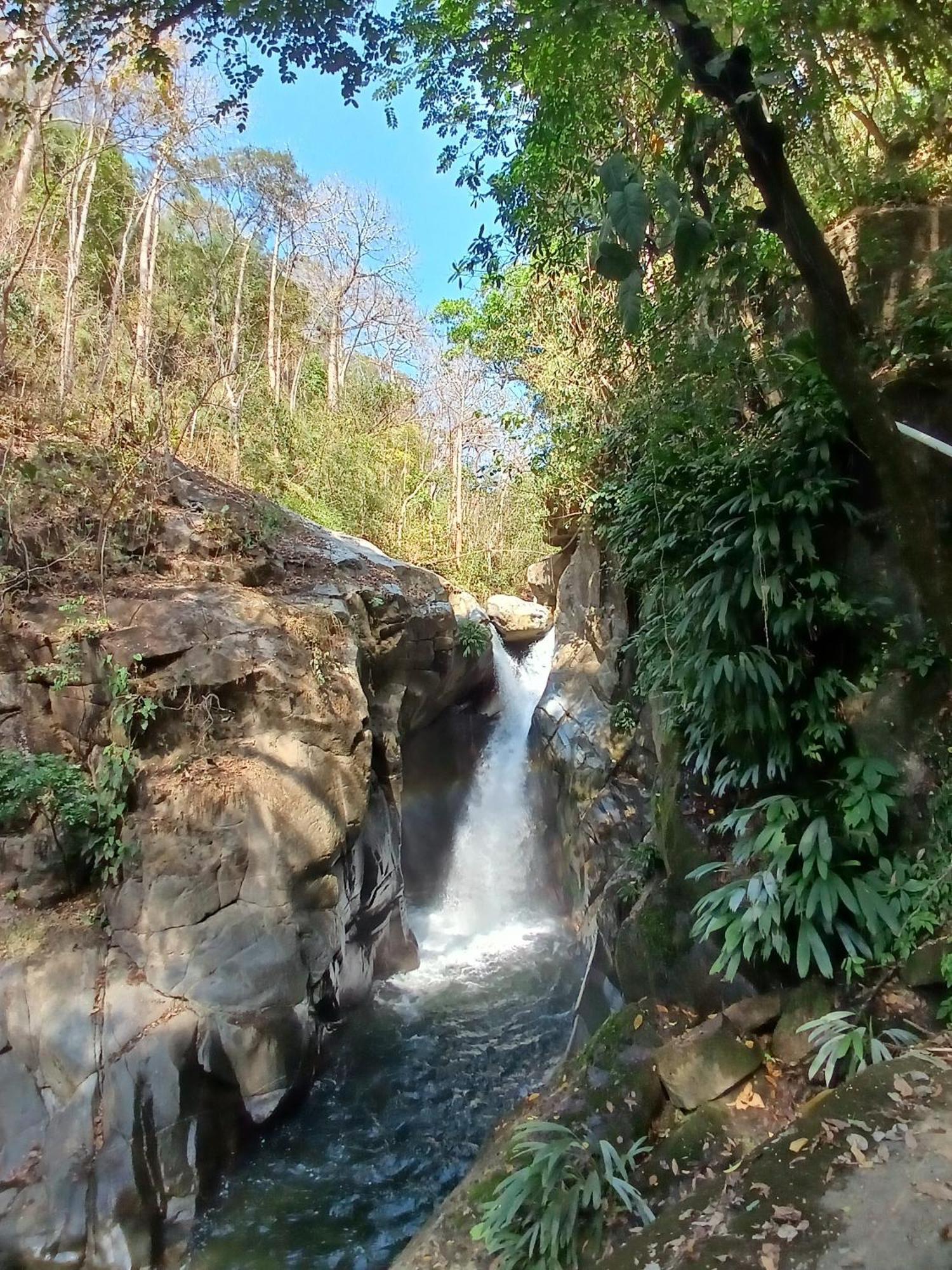 Hebergement Prive Dans La Jungle Avec Cascade Et Vue Mer! Villa Minca Exterior foto