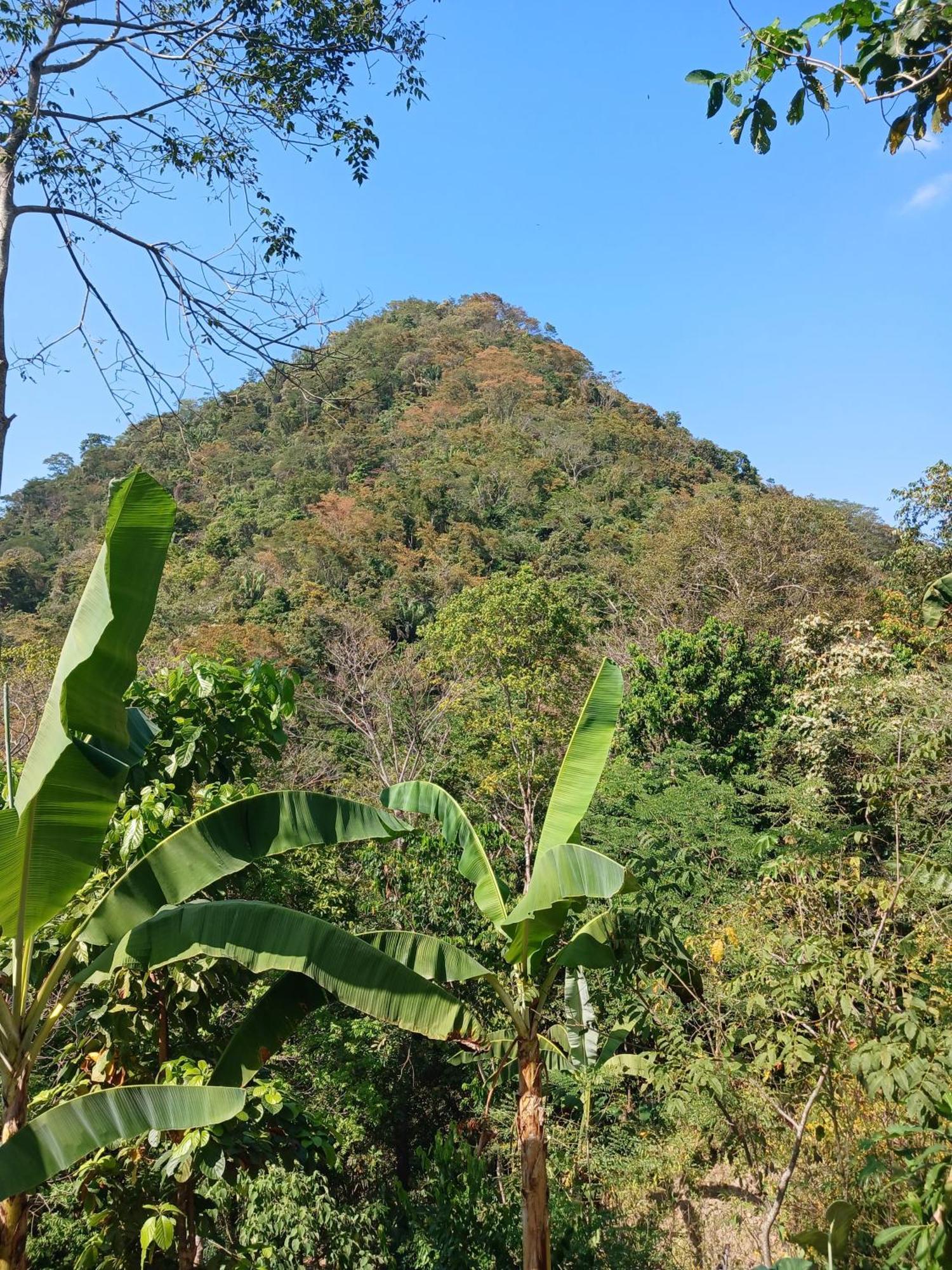 Hebergement Prive Dans La Jungle Avec Cascade Et Vue Mer! Villa Minca Exterior foto