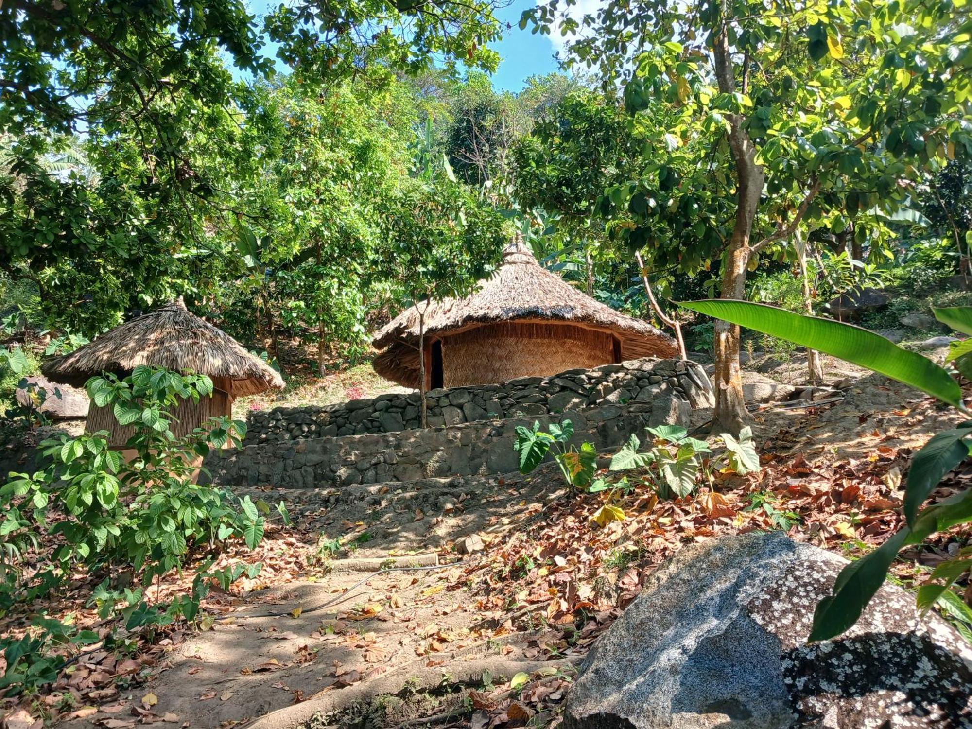 Hebergement Prive Dans La Jungle Avec Cascade Et Vue Mer! Villa Minca Exterior foto