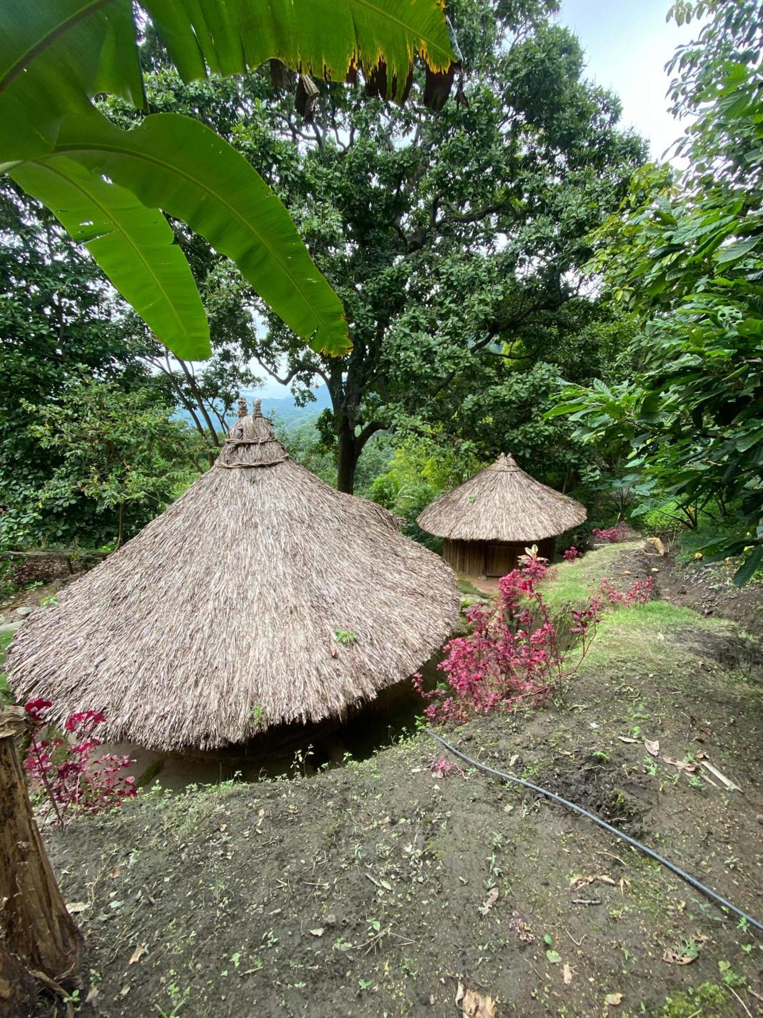 Hebergement Prive Dans La Jungle Avec Cascade Et Vue Mer! Villa Minca Exterior foto